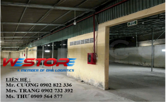 KHO CÁI TẮC BHG K1874